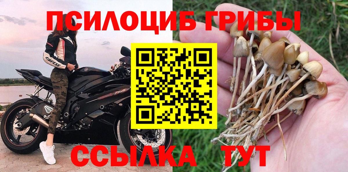 Галлюциногенные грибы MAGIC MUSHROOMS Белово
